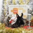 12月17日のグルーミングフォト