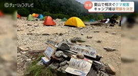 【熊害】「逃げ隠れしないクマが増えてきてしまった…」キャンプ場のテントや食料を奪われる「普段からクマへの常識を変えて欲しい」