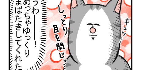 まめきちまめこニートの日常 - 2019/10 Powered by ライブドアブログ