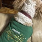 『パぴは。過ぐ世現つ世紡ぐ糸MM462』の画像