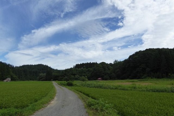 くぐる鳥居は鬼ばかり 寺 神社 五所川原市