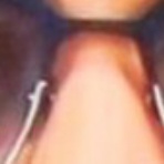 続？ さくら の のほほん道楽絵巻