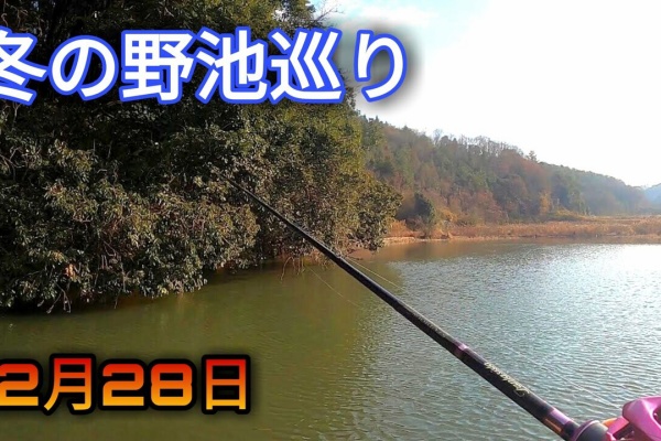 Hideの釣りブログ オカッパリ