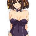 バニーハルヒさん