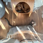 宇宙船の中と外、お昼寝の場所取り合戦