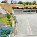 4月9日（木）の花🌸三昧•1…鶴見緑地