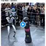 中国のロボット、ボクシング対決するもセルフノックアウト