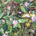 ニュース逆さ読み