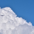 夏雲