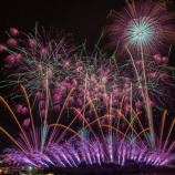『た～まや～🎆(*ﾟ▽ﾟ)ﾉ』の画像