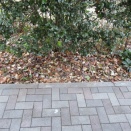 落ち葉とコンポスト