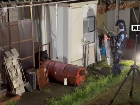 【京都・舞鶴】民家の離れ縁の下にツキノワグマの親子が居座る　『緊急銃猟』実施へ