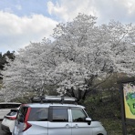 寝ても覚めても飛行機