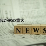 『今年の我が家の重大ニュース』の画像