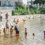『農村の子どもたち、海へ』の画像