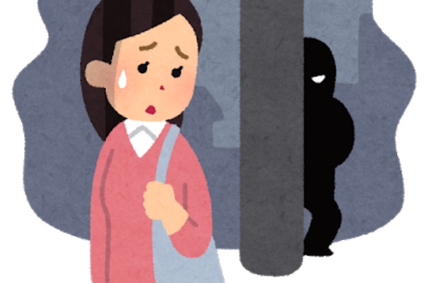 不朽の迷作を紹介 かつてフジテレビで放送されていた謎多きドラマ 盗撮映像のようなものが流れる Eveのすべて とは Nicheee ニッチー テレビリサーチ会社がお届けする情報サイト