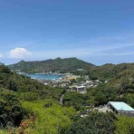 小笠原父島　オガツアーのブログ３
