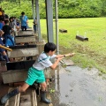 県連盟カブスカウト合同舎営
