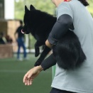 誰か解らず撮影してた　５８