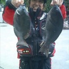 �������˹Ԥä���ޤ������٤β���