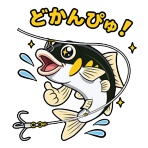 鮎釣り師ガバチャのひとり言