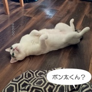 娘がインフルに。と、ロイヤルブルーの波石つくりました。
