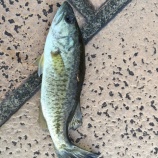 『9月14日 琵琶湖』の画像