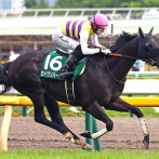 【中山記念】セイウンハーデスの１番人気とは何だったのか