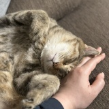 まったりしてると思いきや