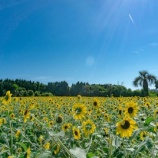 『韓国ドラマ～精神科ナースのダイアリー』の画像