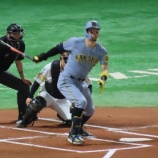 『「行ったらあかん」いうても、このままやったらみんな行くよ、おーん！』の画像