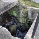 神並への道　パンドラの・・・