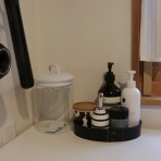 アナベルにかこまれて