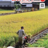 『議会だより２２３号発行！』の画像