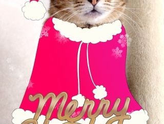 メリークリスマス!