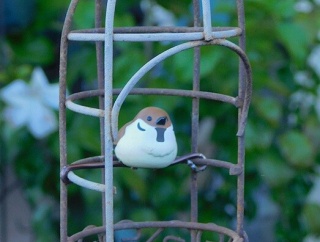 昼夜逆転で猫まみれ