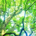 宅建合格への道しるべ