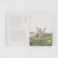 「『北上巣箱』というブランド 」です