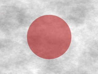 【悲報】岩屋毅前外相「日の丸を燃やせない法律を作るのは国民の精神を圧迫する！」