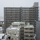 長時間の淡雪　積もらなかった