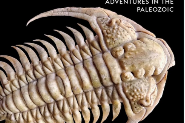 三葉虫の世界 - その他