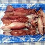 �إܥ����ꥤ���������ѡ� �����ߥ�٤β���