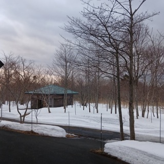 森の温泉～駒の湯温泉通信