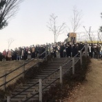 ノンセクションの10