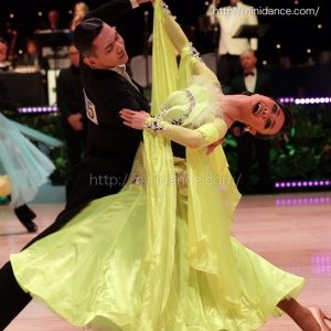 DA012豪華なオーストリッチ羽根裾の黒いモダンドレス : 社交ダンス