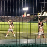 『阪神、オリックス、がっぷり四つの大相撲』の画像