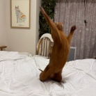 荒ぶるお姉ちゃんを呆然と見るわか坊