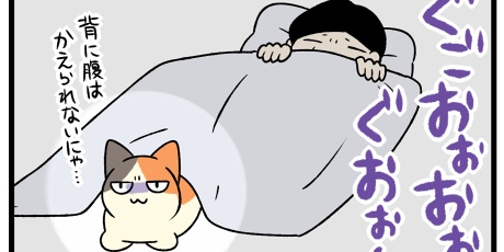 柴犬どんぐり三毛猫たんぽぽ 三毛猫たんぽぽ Powered By ライブドアブログ