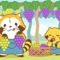 9月5日【土曜日】超超豪華ラインナップ営業日