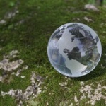 【統計】世界は地球史上6回目の大量絶滅を迎えつつある 人類も早期に死滅する可能性 米専門家ら